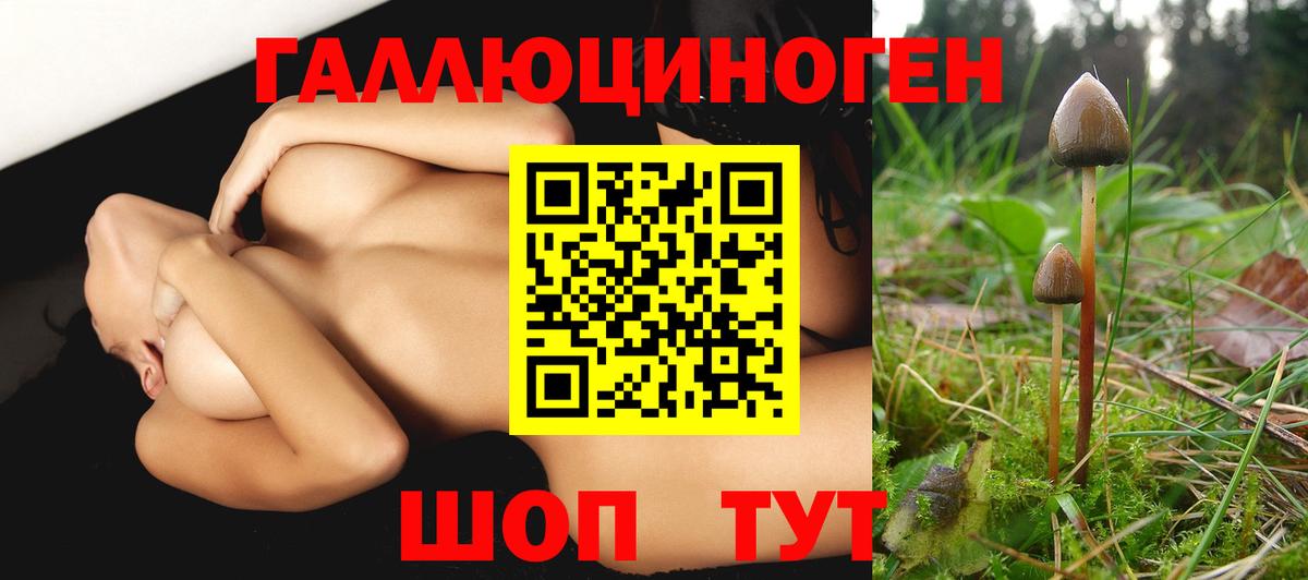 Галлюциногенные грибы MAGIC MUSHROOMS Кимовск